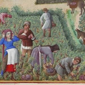Joke 27: The pregnant sister of the citizen of Constance
