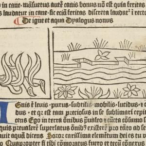 Concerning Fire and Water
