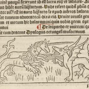 Concerning the Leopard and the Unicorn Who Fought the Dragon
