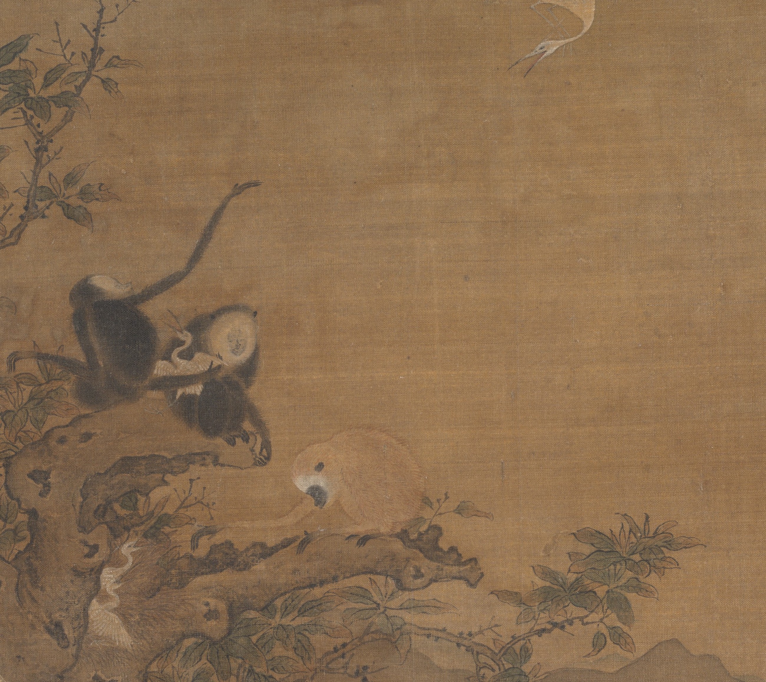 Strange Dogs | 犬異
