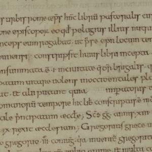 On the Origin of the Pastoral Care
